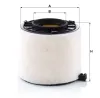 Luftfilter MANN-FILTER C 17 010 Bild Luftfilter MANN-FILTER C 17 010