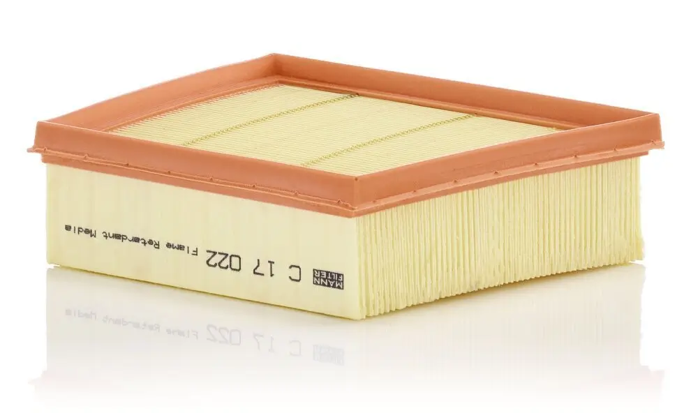 Luftfilter MANN-FILTER C 17 022
