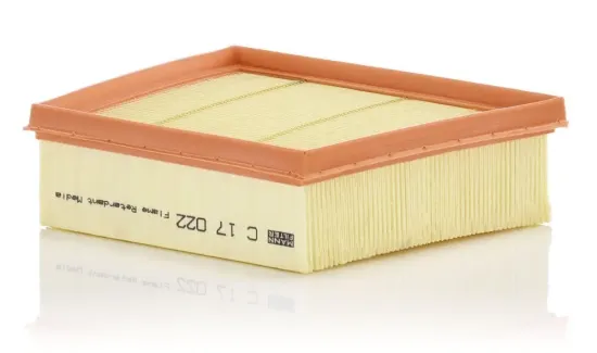 Luftfilter MANN-FILTER C 17 022 Bild Luftfilter MANN-FILTER C 17 022