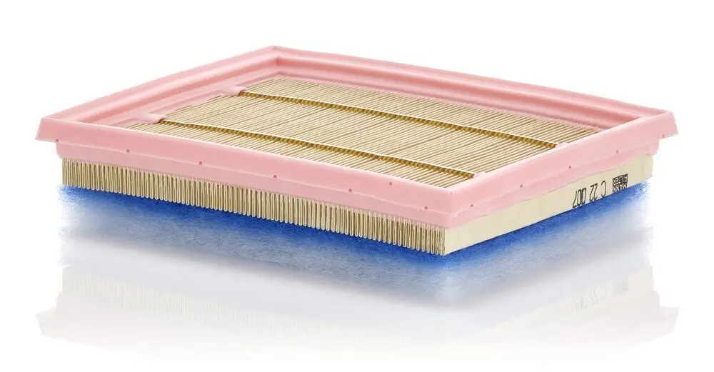 Luftfilter MANN-FILTER C 22 007