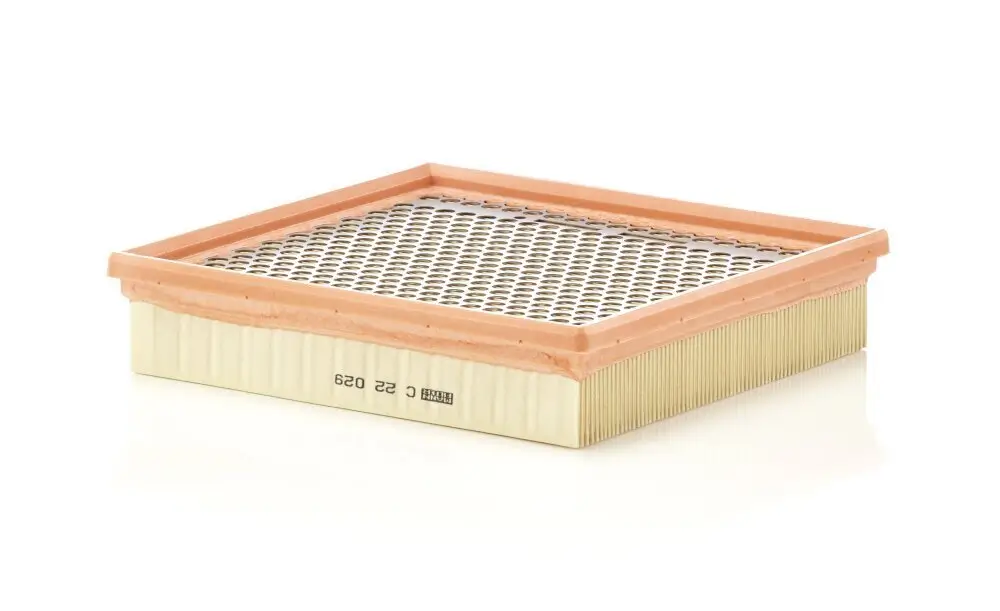 Luftfilter MANN-FILTER C 22 029