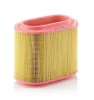 Luftfilter MANN-FILTER C 24 196
