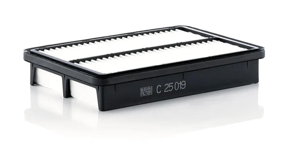 Luftfilter MANN-FILTER C 25 019