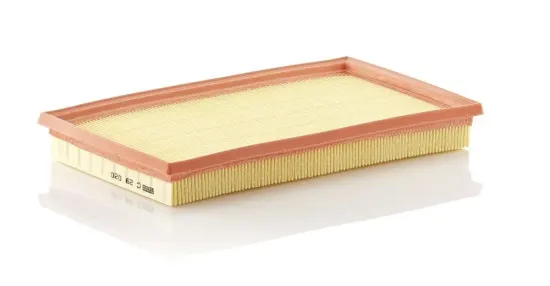 Luftfilter MANN-FILTER C 29 020 Bild Luftfilter MANN-FILTER C 29 020