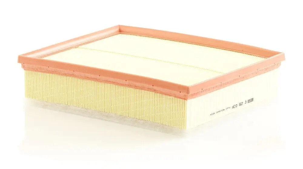 Luftfilter MANN-FILTER C 29 034