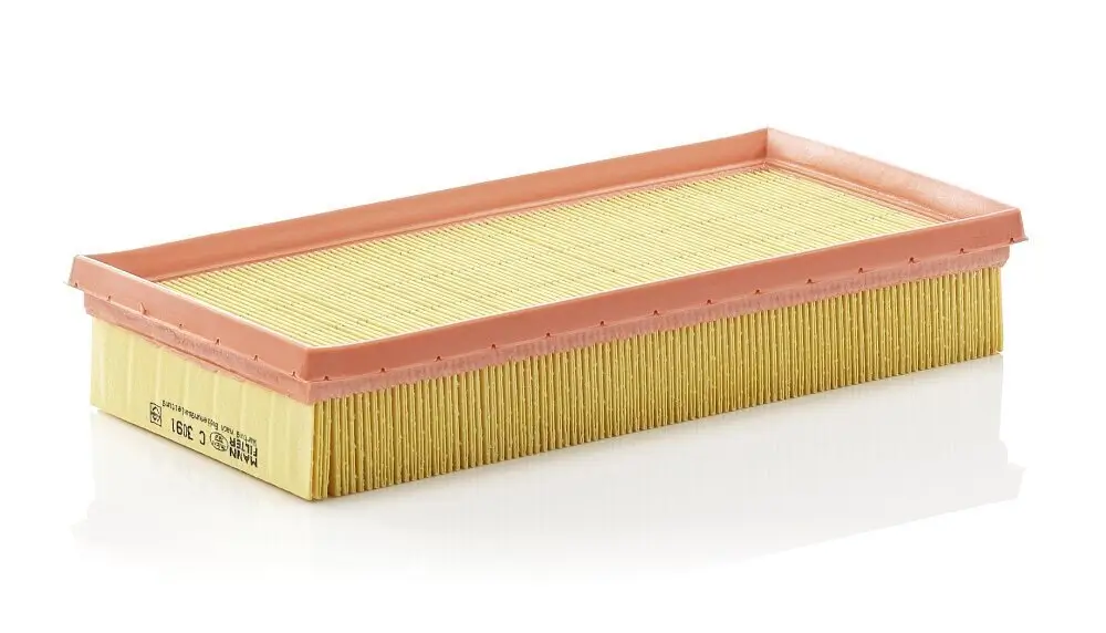 Luftfilter MANN-FILTER C 3091