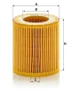 Ölfilter MANN-FILTER HU 816 x Bild Ölfilter MANN-FILTER HU 816 x