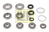 Reparatursatz, Schaltgetriebe Schaeffler LuK 462 0210 10