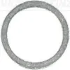Dichtring VICTOR REINZ 41-71019-00
