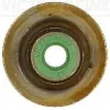 Dichtring, Ventilschaft VICTOR REINZ 70-17787-00