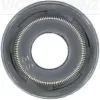 Dichtring, Ventilschaft VICTOR REINZ 70-53678-00