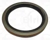 Wellendichtring, Differential ELRING 058.680