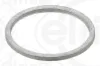 Dichtring ELRING 079.820