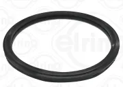 Dichtring ELRING 213.380