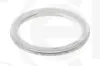 Dichtring ELRING 235.253