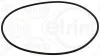 Dichtung, Differential ELRING 783.250