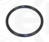Dichtring ELRING 698.820