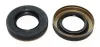 Dichtring ELRING 755.087