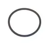 Dichtring ELRING 789.970