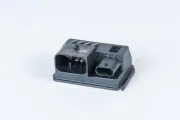 Steuergerät, Glühzeit 12 V BorgWarner (BERU) GSE106