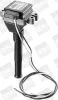 Zündspule 12 V BorgWarner (BERU) ZS043 Bild Zündspule 12 V BorgWarner (BERU) ZS043