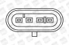Zündspule 12 V BorgWarner (BERU) ZS244 Bild Zündspule 12 V BorgWarner (BERU) ZS244