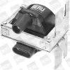 Zündspule 12 V BorgWarner (BERU) ZS244 Bild Zündspule 12 V BorgWarner (BERU) ZS244