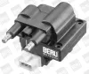 Zündspule 12 V für Zylinder 2 für Zylinder 3 BorgWarner (BERU) ZS246 Bild Zündspule 12 V für Zylinder 2 für Zylinder 3 BorgWarner (BERU) ZS246
