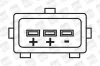Zündspule 12 V BorgWarner (BERU) ZS250 Bild Zündspule 12 V BorgWarner (BERU) ZS250