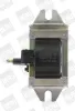 Zündspule 12 V BorgWarner (BERU) ZS250 Bild Zündspule 12 V BorgWarner (BERU) ZS250
