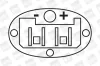 Zündspule 12 V BorgWarner (BERU) ZS257 Bild Zündspule 12 V BorgWarner (BERU) ZS257