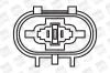 Zündspule 12 V BorgWarner (BERU) ZS261 Bild Zündspule 12 V BorgWarner (BERU) ZS261