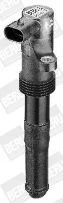Zündspule 12 V BorgWarner (BERU) ZS321 Bild Zündspule 12 V BorgWarner (BERU) ZS321