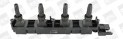 Zündspule 12 V BorgWarner (BERU) ZS351