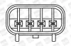 Zündspule 12 V BorgWarner (BERU) ZS372 Bild Zündspule 12 V BorgWarner (BERU) ZS372