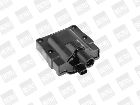 Zündspule 12 V BorgWarner (BERU) ZS445