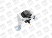 Zündspule 12 V BorgWarner (BERU) ZS469