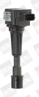 Zündspule 12 V BorgWarner (BERU) ZS489