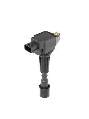 Zündspule 12 V BorgWarner (BERU) ZS489 Bild Zündspule 12 V BorgWarner (BERU) ZS489