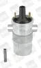 Zündspule 12 V BorgWarner (BERU) ZS546