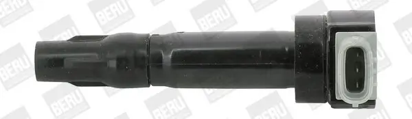 Zündspule 12 V BorgWarner (BERU) ZS547