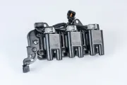 Zündspule 12 V BorgWarner (BERU) ZS555