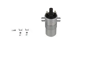 Zündspule 12 V BorgWarner (BERU) ZS563 Bild Zündspule 12 V BorgWarner (BERU) ZS563