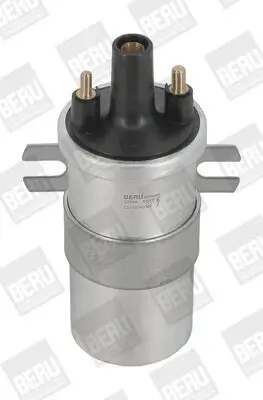 Zündspule 12 V BorgWarner (BERU) ZS566