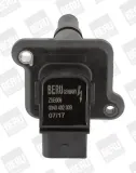 Zündspule 12 V BorgWarner (BERU) ZSE009