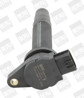 Zündspule 12 V BorgWarner (BERU) ZSE021 Bild Zündspule 12 V BorgWarner (BERU) ZSE021