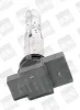 Zündspule 12 V BorgWarner (BERU) ZSE031 Bild Zündspule 12 V BorgWarner (BERU) ZSE031