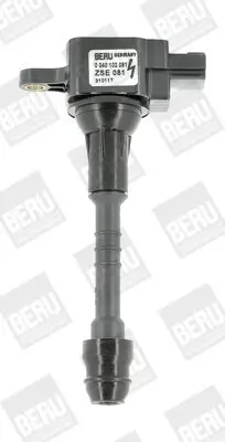 Zündspule 12 V BorgWarner (BERU) ZSE081