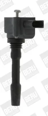 Zündspule 12 V BorgWarner (BERU) ZSE163