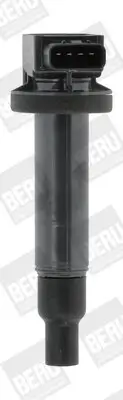 Zündspule 12 V BorgWarner (BERU) ZSE165